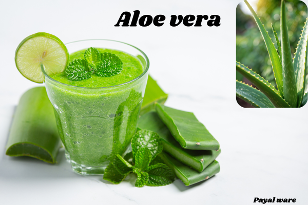 aloe vera use for hair growth
